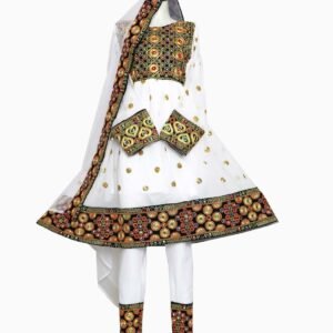 Traditional Light Weight Bnarasi Dress.