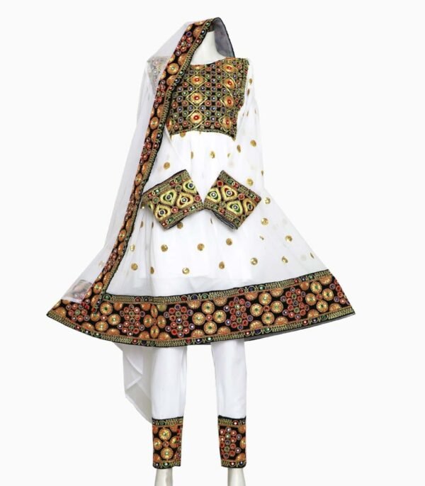 Traditional Light Weight Bnarasi Dress.