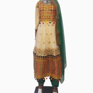 Traditional Light Weight Bnarasi Dress.