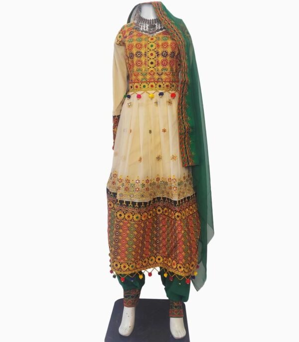 Traditional Light Weight Bnarasi Dress.