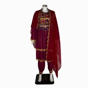 Traditional Light Weight Bnarasi Dress.