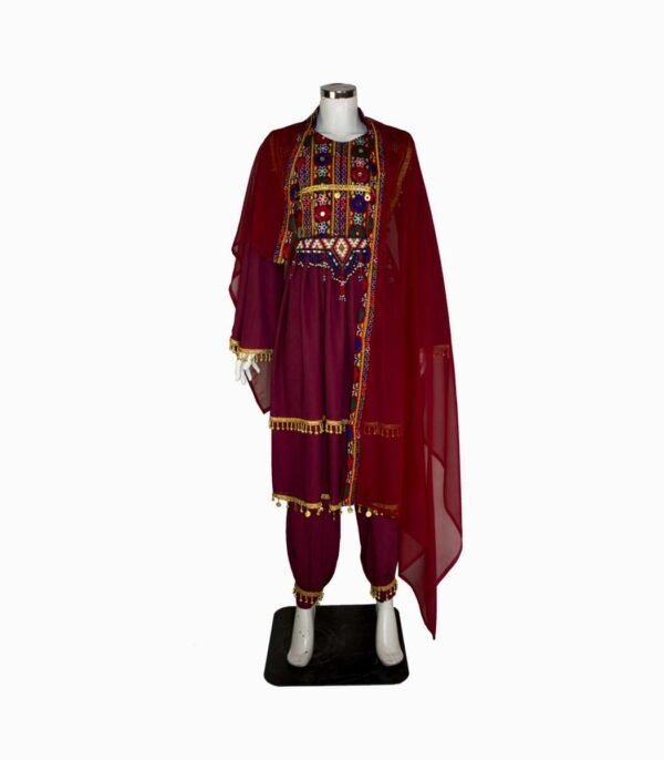 Traditional Light Weight Bnarasi Dress.