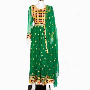 Traditional Light Weight Bnarasi Dress.